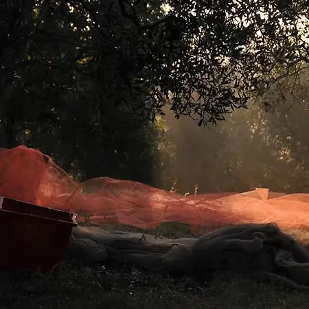 La Casetta Del Sole *