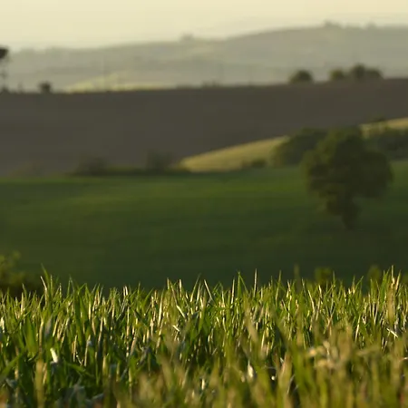 La Casetta Del Sole Daire Villastrada (Umbria)