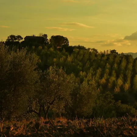 La Casetta Del Sole