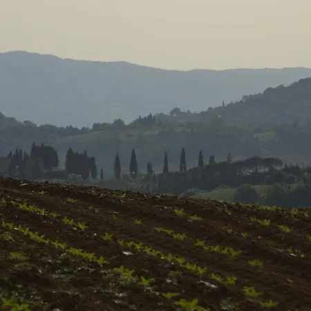 La Casetta Del Sole *